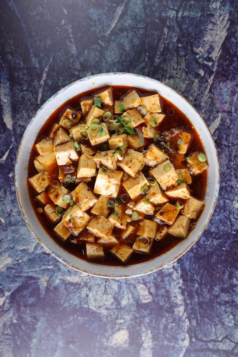 mapo tofu 麻婆豆腐